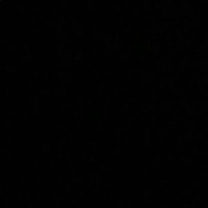 Meet your Posher, Barry